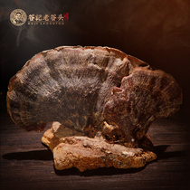 (Single shot a few grams not shipped) huge outdoor growth Red Ganoderma lucidum Changbai Mountain Ganoderma lucidum prundiorp for sale