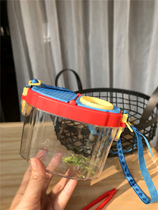 Export German children plant insect observation collection box magnifying glass outdoor travel scientist toy