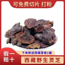 (Can be beaten) Tibet special wild Ganoderma lucidum dry goods authentic Red Ganoderma lucidum whole Linzhi grass slices 250g