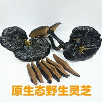 (Special promotion) Deep mountain wild with handle black Ganoderma lucidum slices black Ganoderma lucidum multi-specification optional