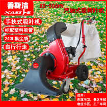 Hand push leaf suction machine fuel type landscaping Street leaf suction machine lawn vacuum cleaner Xiangsijie 506HV