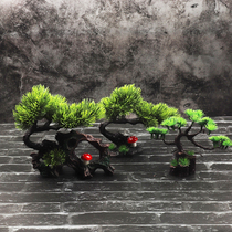 Pine tree decoration Restaurant Hotel dining sashimi decoration Flowers and plants creative decoration Welcoming pine tree decoration