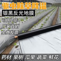 Thickened agricultural silver and black two-color mulch Greenhouse orchard plastic film Fruit tree color insulation moisturizing warming weeding