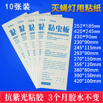 Sticky fly paper fly lamp Sticky trap sticker Food and beverage sprinkler with fly fly fly multi-specifications optional 10 sheets