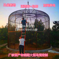 Iron Birdcage extra large net Birdcage starlings tiger skin parrot Birdcage outdoor large large peacock raising Birdcage