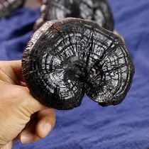 Deep mountains and wild black Ganoderma lucidum dry goods Linzhi can slice 500 grams half wild Ganoderma lucidum