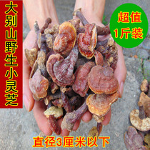 New goods Dabie Mountain wild Ganoderma lucidum Huoshan Chiji lucidum wild small Ganoderma lucidum less than 3cm in diameter 1kg