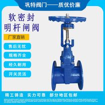 Cast steel ductile iron elastic seat sealing Rod soft sealing gate valve Z45X Z41X-16 DN80 100 125 good work