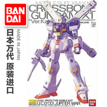 Bandai MG 1 100 CrossBone X-1 Ver Ka Card Edition Skull Pirate Gundam X1