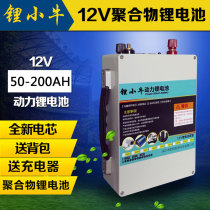 Lithium calf 12V lithium battery 60AH80AH100AH200AH large capacity power polymer ternary battery