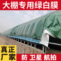 Green greenhouse green white film Black White film culture film anti-aerial photography satellite shiitake mushroom semi-transparent plastic film