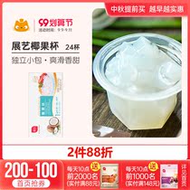 Exhibition art coconut grain 960g a total of 24 cups coconut pulp jelly pudding snacks dessert pearl milk tea special baking material