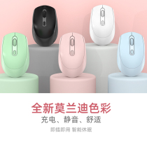 Wireless mouse Bluetooth dual-mode rechargeable mute mouse gaming mouse cross-border Amazon macaron multi-color