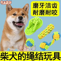 Chai dog special rope tying toy ball with rope suit for biting and grinding tooth decompression and relieving smoocher puppies large canine supplies