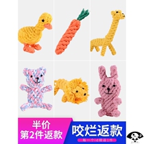 Small dog dog knots toy-resistant glue-resistant grinding teeth tedib bear Bomei puppies supplies