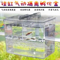 Fish tank hanging algae box external algae tank sea tank female fish mini parrot fish breeding protection small fish baby isolation box