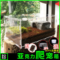 Reptile feeding box Pet box Transparent acrylic Spider lizard Snail Mantis Cricket turtle climbing pet landscaping box