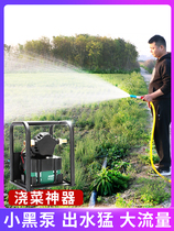 Shengda Germany Weile rechargeable pump pump pump water irrigation battery watering machine for farmland irrigation battery watering machine watering vegetables