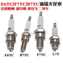 Motorcycle spark plug B7TC E6TC F7TC F5TC CR8E two-stroke motorcycle spark stone