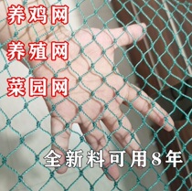 Outdoor chicken net chicken net vegetable garden fence poultry breeding net plastic anti-chicken fence nylon net