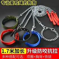 Metal dog chain pet dog leash dog rope anti-bite p chain small dog dog dog chain chain