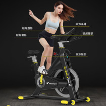 Commercial Scooter Gym Merrick Indoor Silent and Unlimited Resistance Overload and Bold Increase Exercise Bike