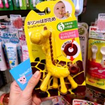 Spot Japanese ANGETeether giraffe fawn baby molars 3 months from