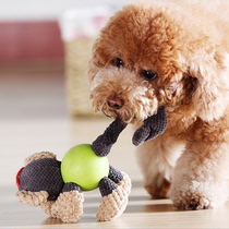 Pet supplies plush toys molars bite-resistant dog dog toys small dogs golden hair Teddy voice toys