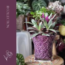 (0629)IR Nordic foreign trade export Home Relief vintage colorful fleshy vases flowerpots green flower planters