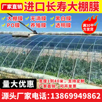 Thickened vegetable greenhouse film No drop film sunscreen black and white film insulation pofilm anti-aging long life transparent plastic cloth