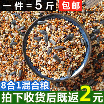 Small and medium parrot bird food feed Eight-color red millet tiger skin Peony parrot mixed nutritional food Millet shelled bird food