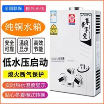 Gas water heater forced discharge household bath Gas Natural Gas toilet low water pressure liquefied gas wall-mounted