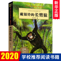 戴银铃的长臂猿/动物小说大王沈石溪品藏书系 儿童读物/教辅中小学生课外阅读书非注音儿童文学畅销书籍浙江少年儿童出版社