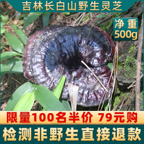 Pure wild small purple Ganoderma lucidum pruned dry goods sparkling wine Northeast Changbai Mountain Black Chi Linzhi slices sliced a catty