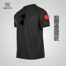 Short-sleeved outdoor quick-drying clothes Mens short-sleeved T-shirt sports running team short-sleeved loose breathable large size perspiration