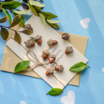 Photo Props Photography Props Forest Department Literary small frescoed net Shop to shoot Photographed Props Oak 5