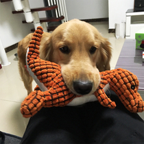 Dog Toys Sound Medium Golden Retriever Big Dog Puppies Grinding Labrador Puppies Bite Resistant Plush Pet Supplies