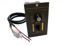 Taili series AC governor motor TAILI6W25W40W120W250w