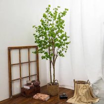 Simulation Nordic Japanese hanging bell tree bonsai green planting landscape construction view horse drunken wood simulation tree decoration simulation potted plants