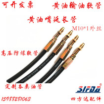 Customized high-pressure grease gun hose extension oil pipe lubrication oil injection pipe extension grease nozzle oil pump pipe M10 * 1