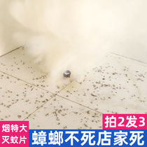 Cockroaches smoked dust lice smoke insecticides smokers smokers mosquito-killing smoke tablets mosquito repellent tablets mosquito repellent