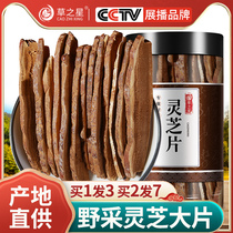 Buy 1 hair 3 Changbai Mountain wild Ganoderma chip dry goods northeast slice soaked water Ganoderma Zhi tea Linzhi red Ganoderma lucidum