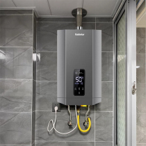 Pipeline artificial gas water heater Intelligent constant temperature 16L antifreeze device Natural gas ralstetarJSQ24-A1