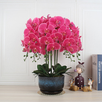 With Basin PU Butterfly Lan Emulation Florid Hand Feel Moisturizing Fake Flowers Hotel Decent Board Room front floor Tray Exhibition Hall Decoration Furnishing