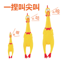 Screaming chicken screaming chicken toy chicken decompression voice strange call chicken desperate fight chicken dog bite toy