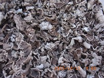 Long white mountain wild cleft plexus plexus RMB68  catty 