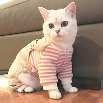 Cat clothes kitten autumn Kitten cute hair-proof pet thin English short cloth cat cat autumn and winter four feet