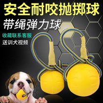 Dog toy ball horse dog golden retriever large dog bite resistant floating water training ball training dog interstellar belt rope ball pet supplies