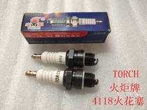 Nebulizer drugmaker petrol saw spark plug 2-stroke mower torch 4118 4114 spark plug oil saw