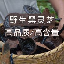 Black Ganoderma lucidum Yunnan deep mountains picking whole branches black Linzhi natural black lucidum wild Ganoderma lucidum slices red Ganoderma lucidum slices